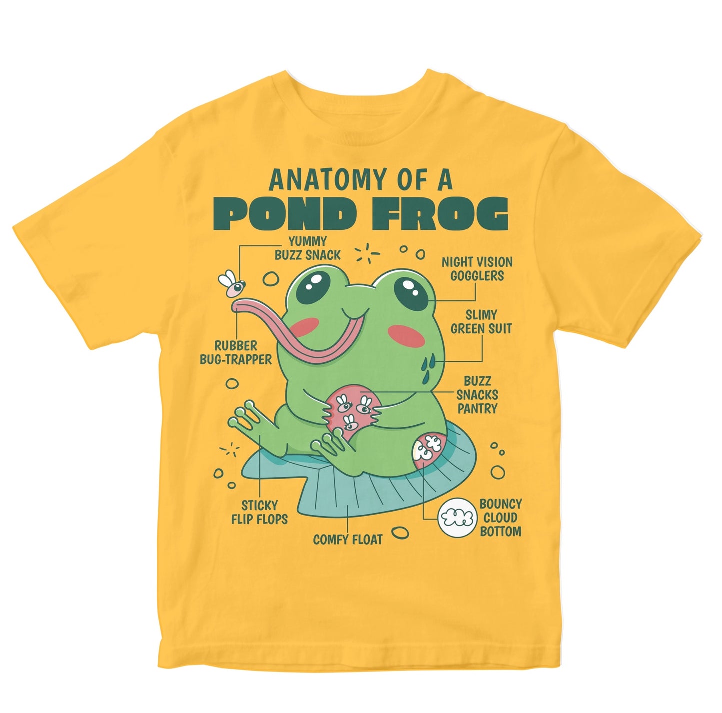 Anatomy Of A Pond Frog Kids