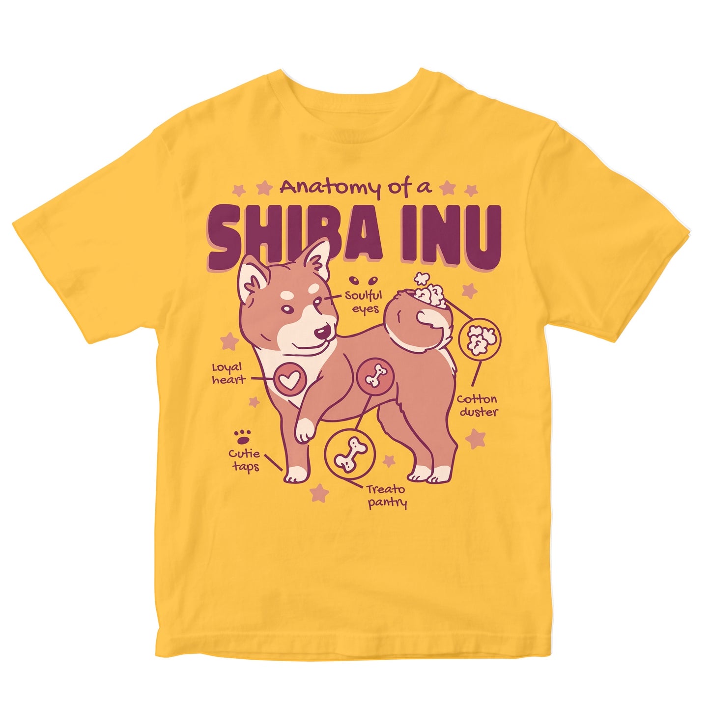 Anatomy Of A Shiba Inu Toddler