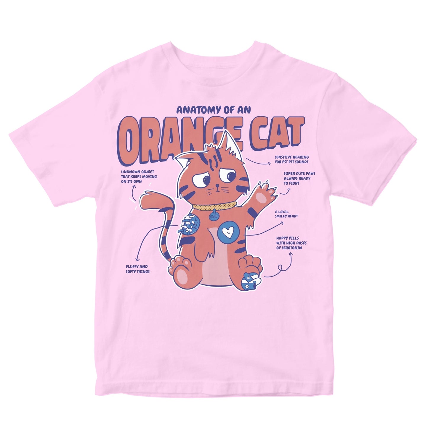 Anatomy Of An Orange Cat Toddler