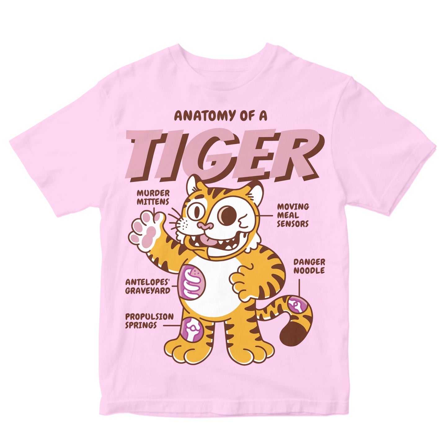 Anatomy Of A Tiger Toddler