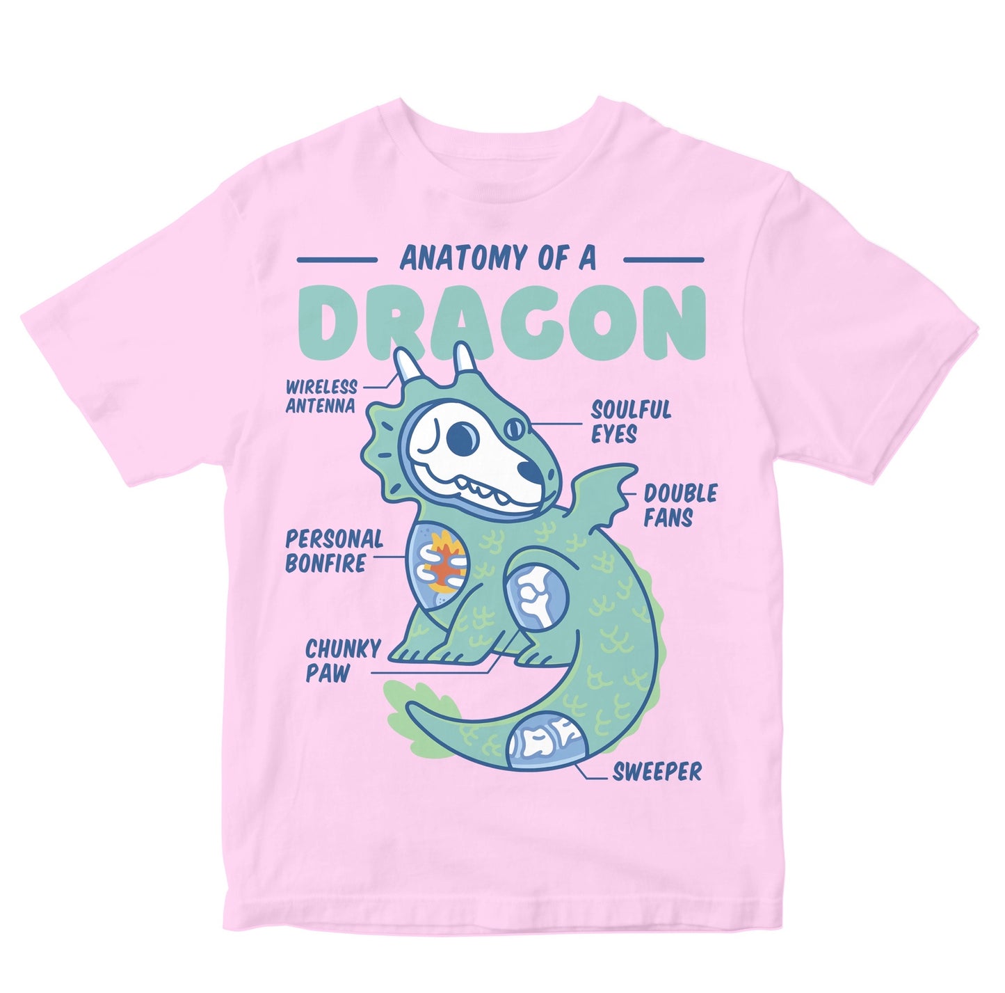 Anotomy Of A Dragon Toddler