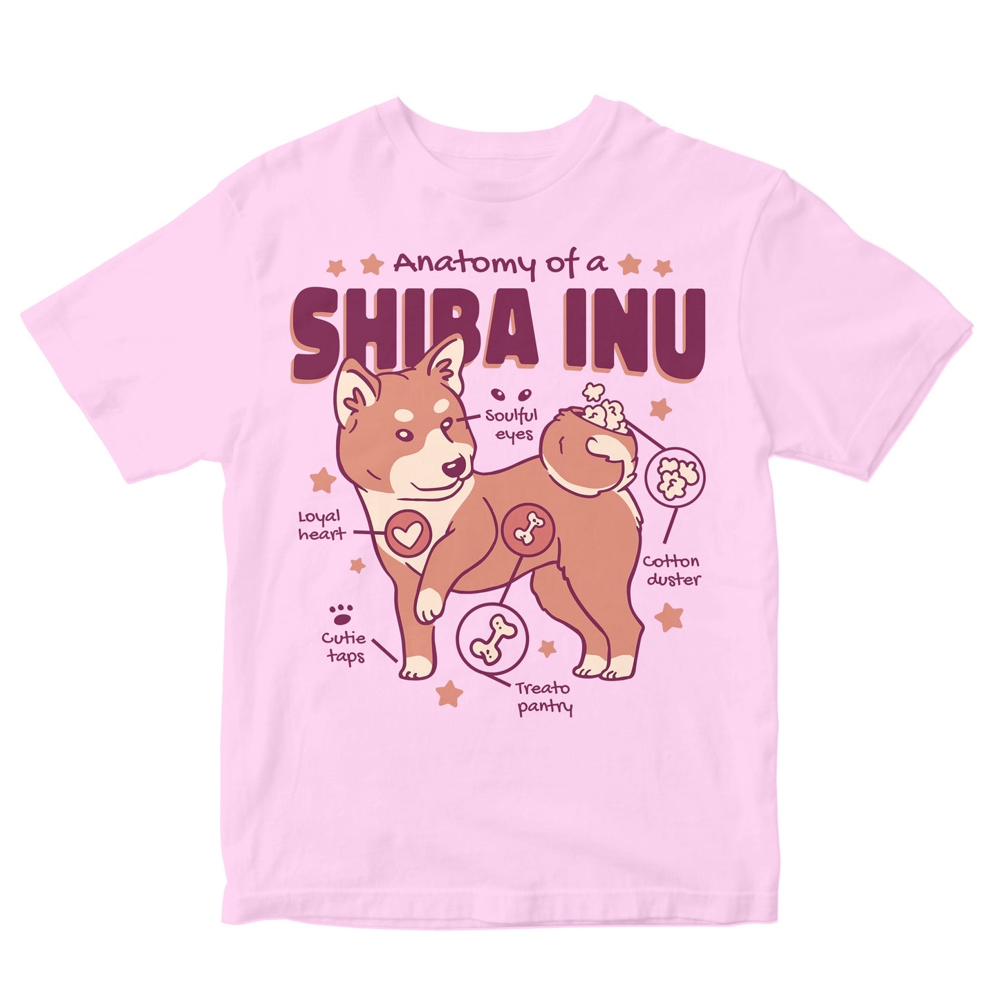 Anatomy Of A Shiba Inu Toddler