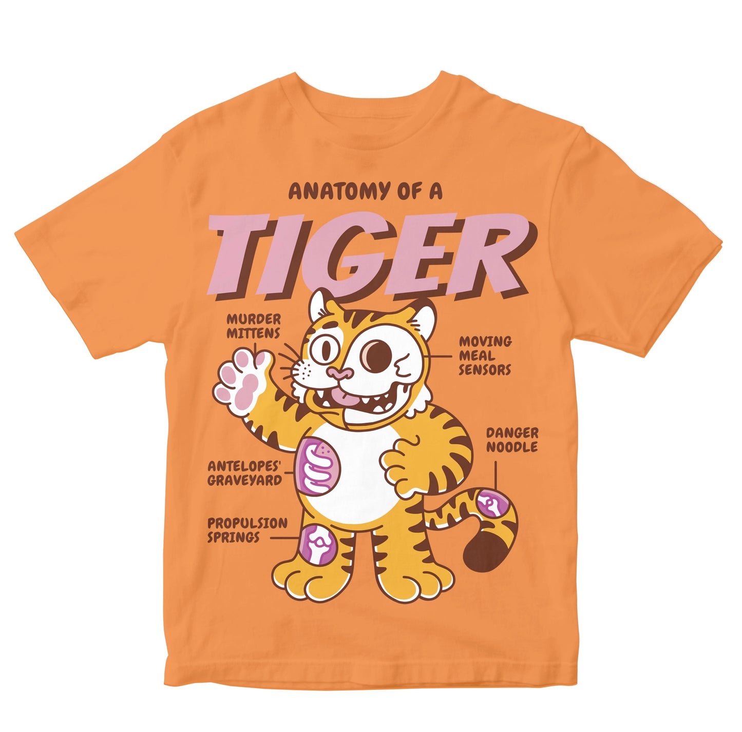 Anatomy Of A Tiger Toddler