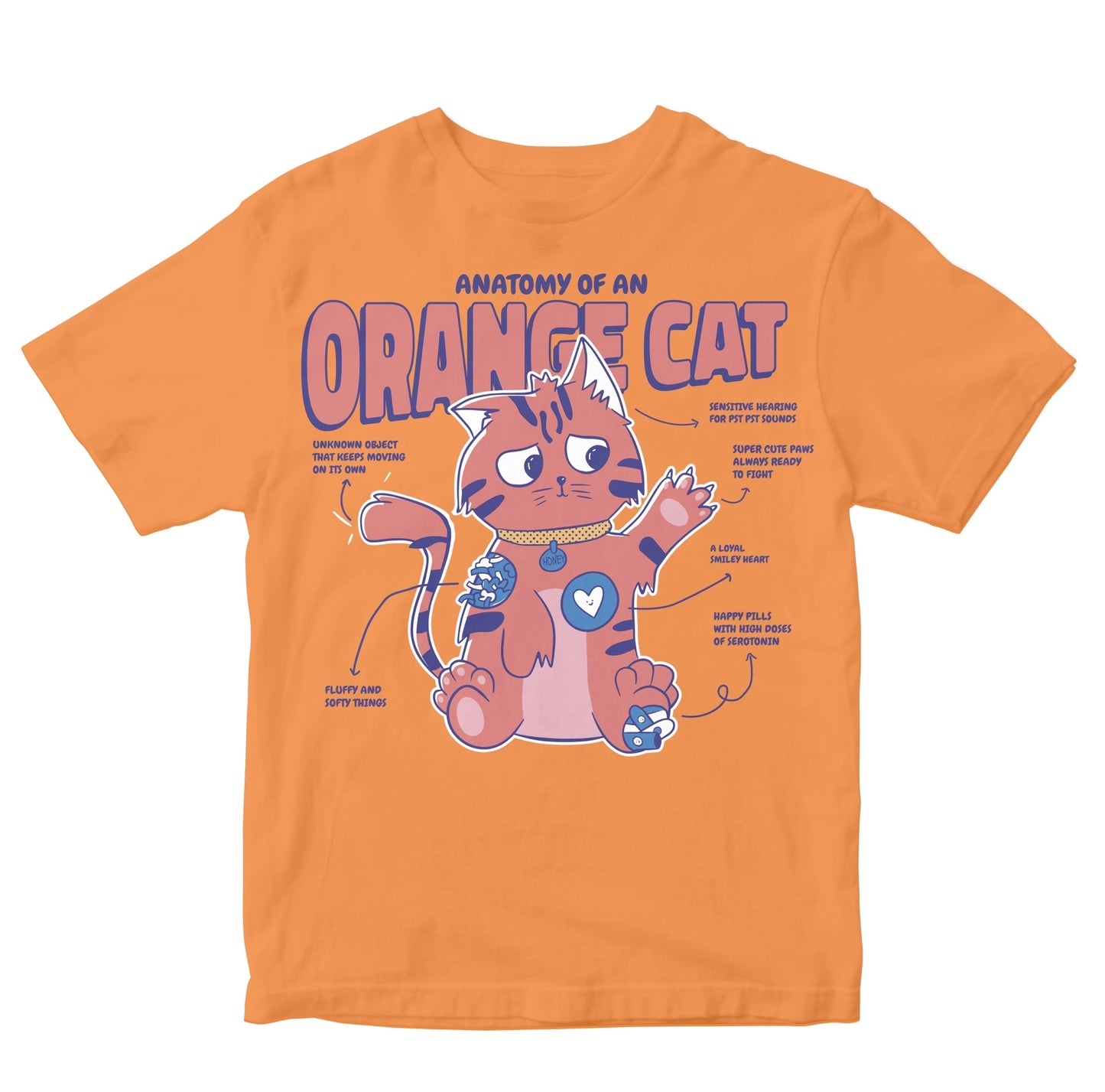 Anatomy Of An Orange Cat Toddler