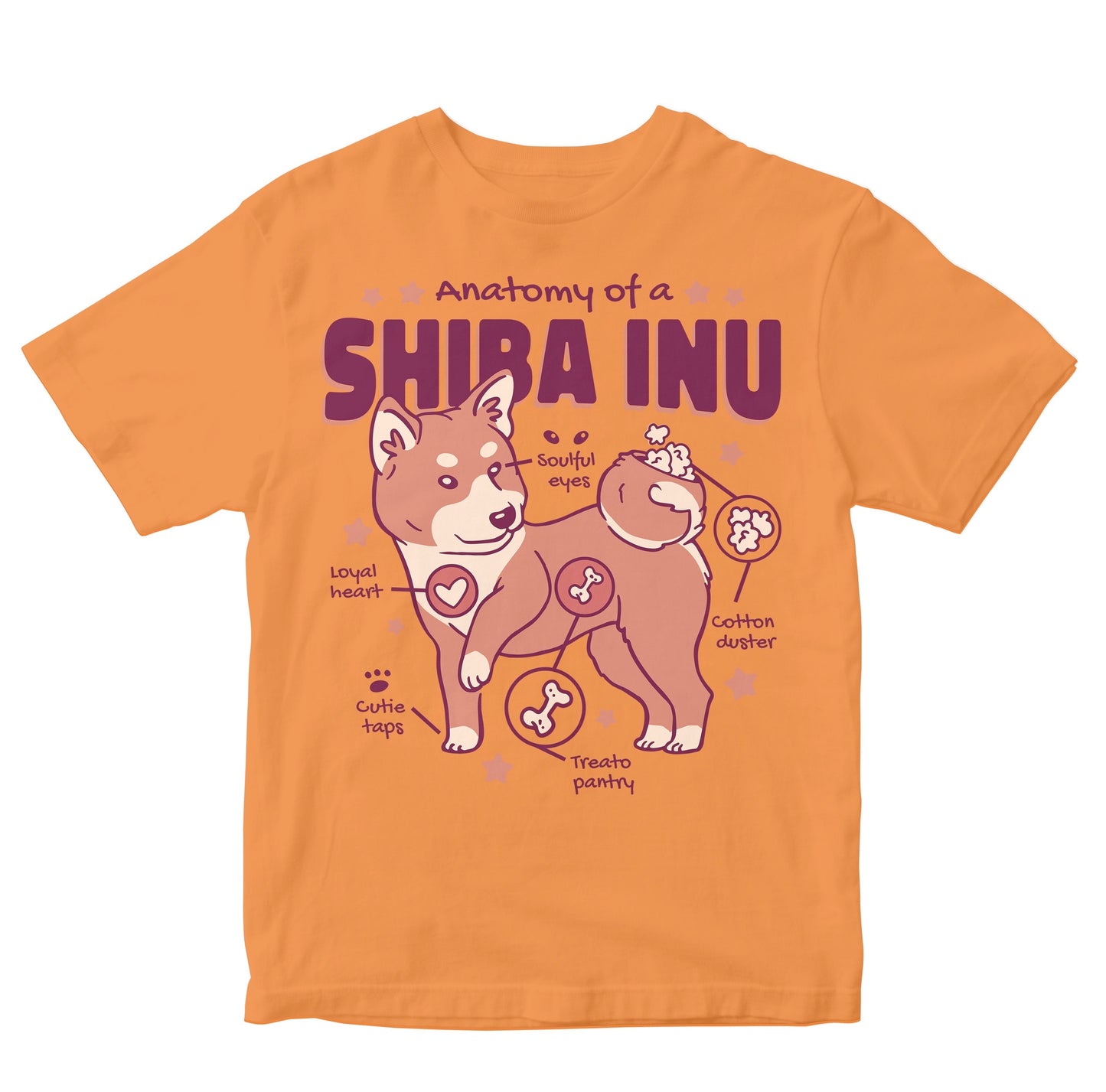 Anatomy Of A Shiba Inu Toddler