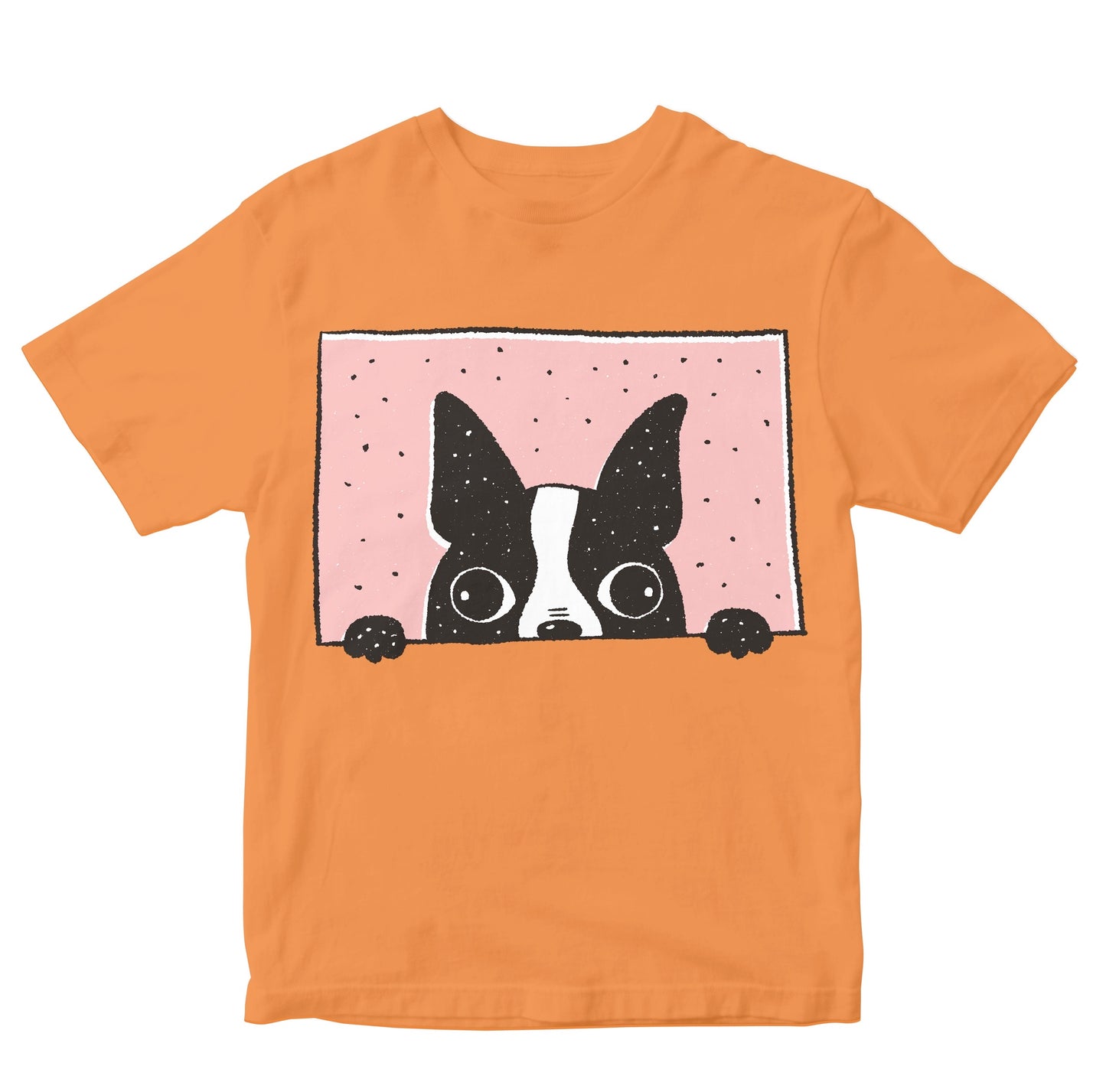 Boston Terrier Peeking Kids