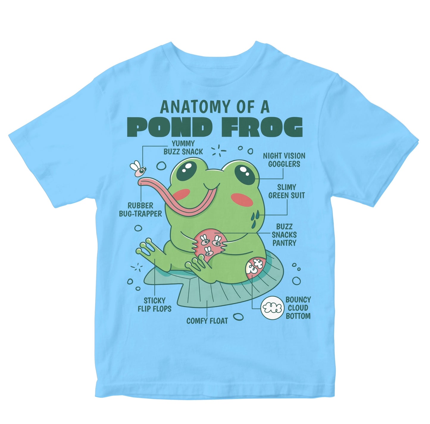 Anatomy Of A Pond Frog Kids