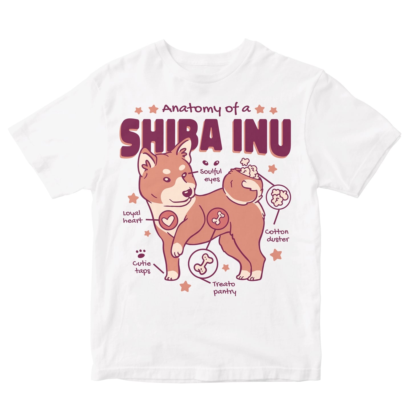 Anatomy Of A Shiba Inu Toddler
