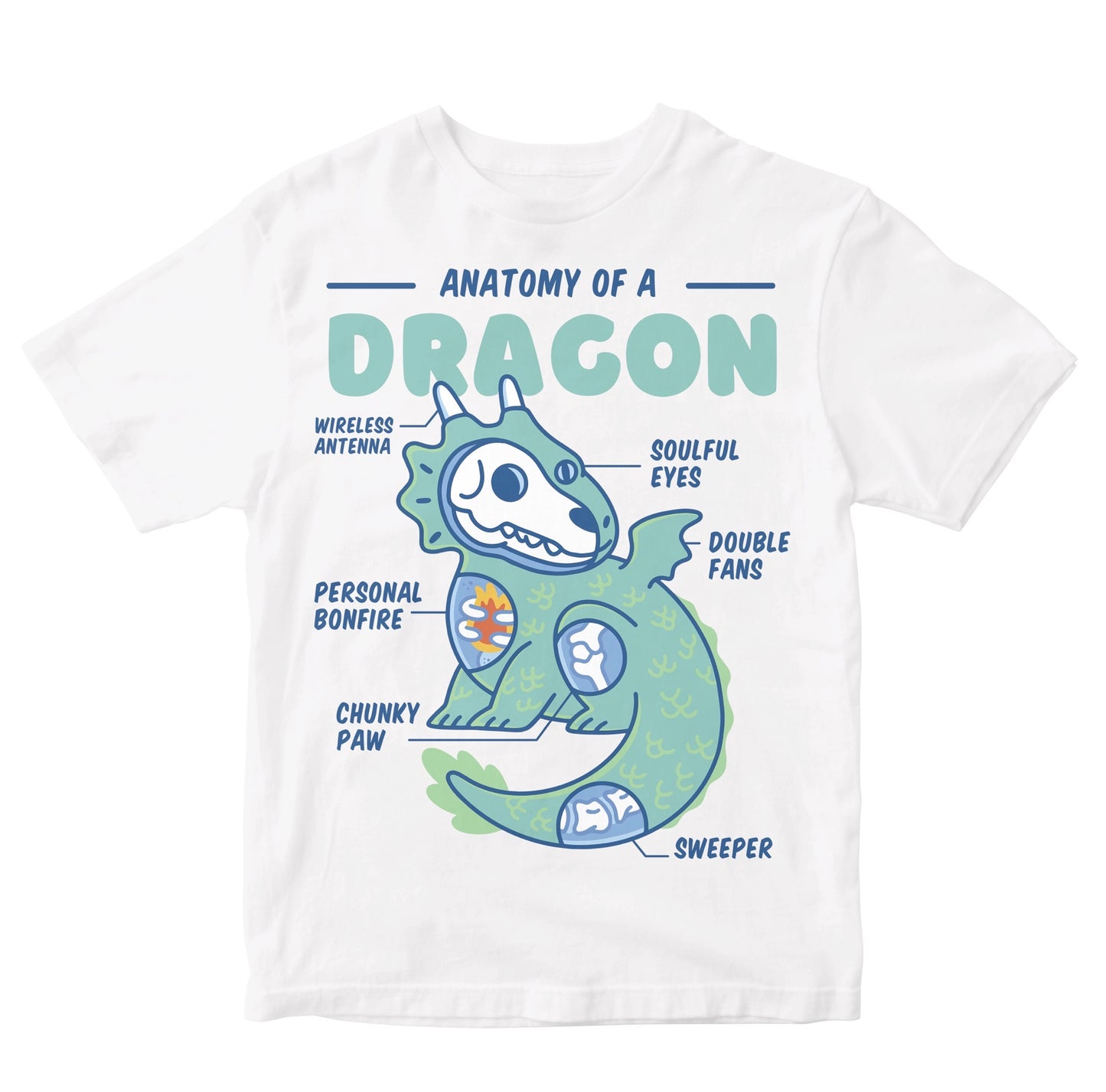 Anotomy Of A Dragon Toddler