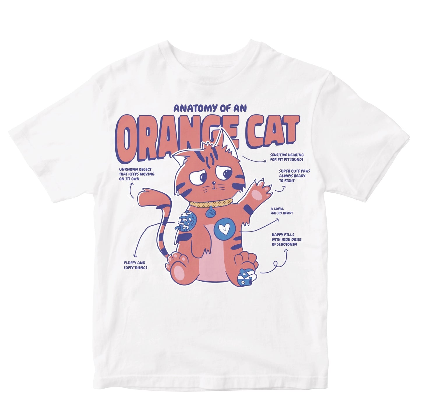 Anatomy Of An Orange Cat Toddler