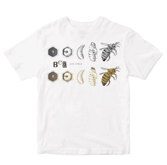 Bee Life Cycle Toddler