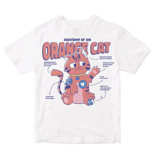 Anatomy Of An Orange Cat Toddler