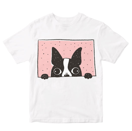Boston Terrier Peeking Kids